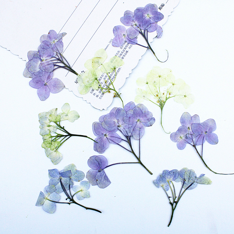 h2uTiviiztSHn2aJjQ1YWs2K5qfucIGu66Sp