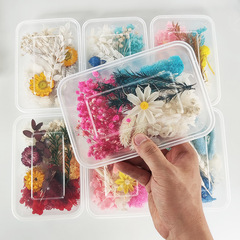 Perennial Flower Dry Flower Mixed Material Kit for Children DIY Starflower Scented Decorative Ornament Mother's Day Gift