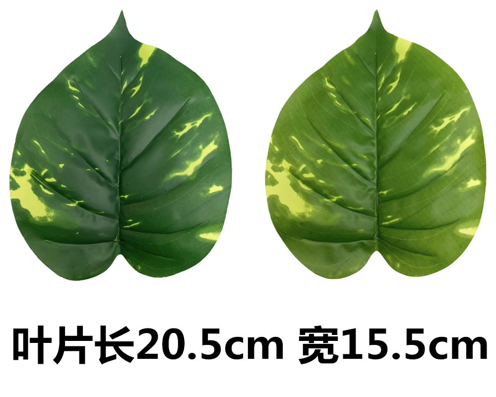 未命名_副本