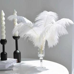 ��ë�b�ɫ�r�Bë15-80cm��ɫ��ë��̨���߾W�t����c�b���ë