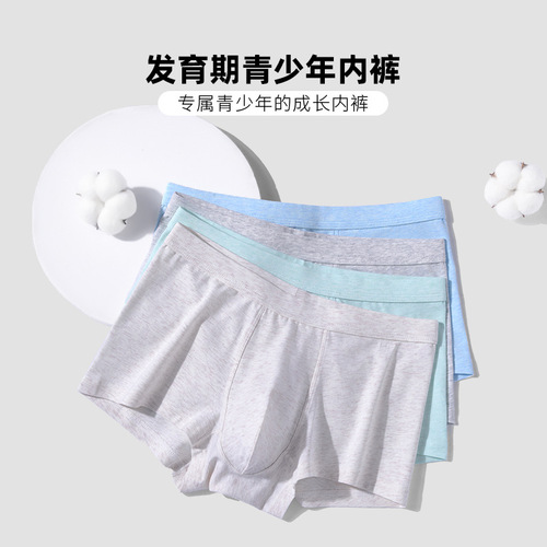 Class A pure cotton youth underwear men's students Xinjiang cotton boxer briefs mulberry silk antibacterial shorts factory wholesale