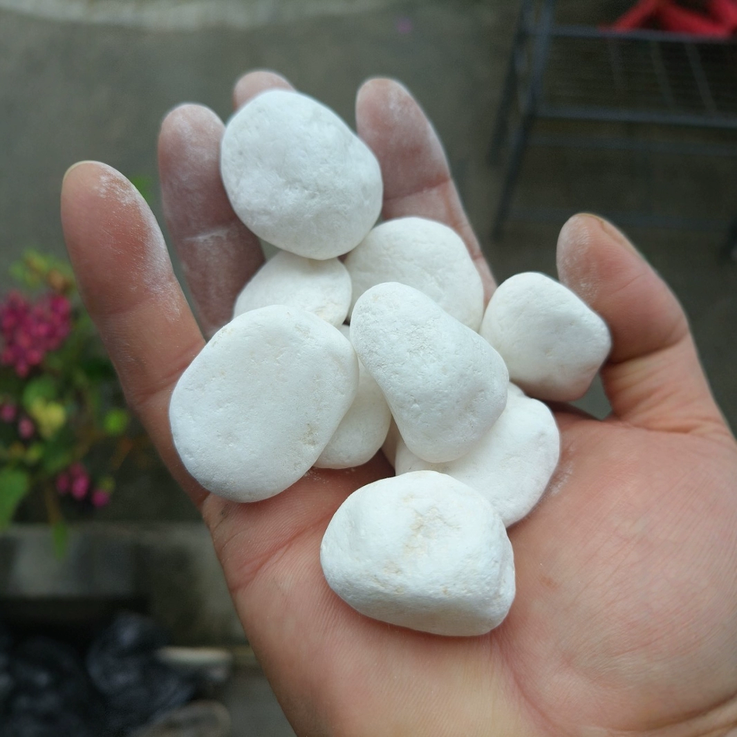 Белая булыжная облицовочная территория