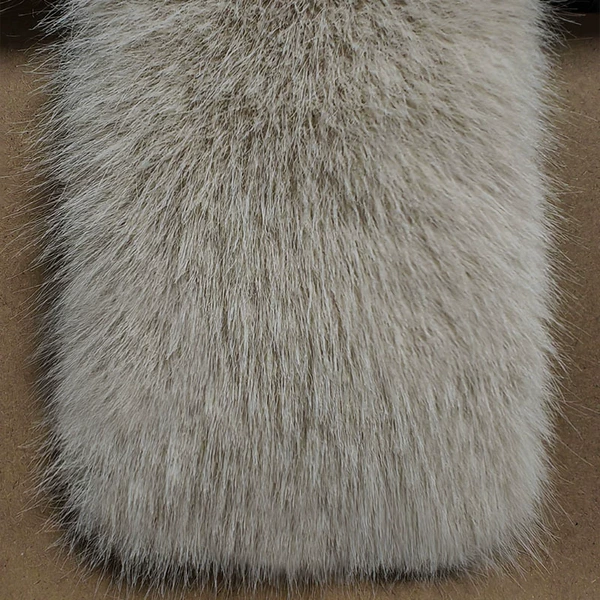 Apricot