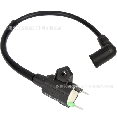 package ignition coil, Alovlanma bobini (Babinalar)