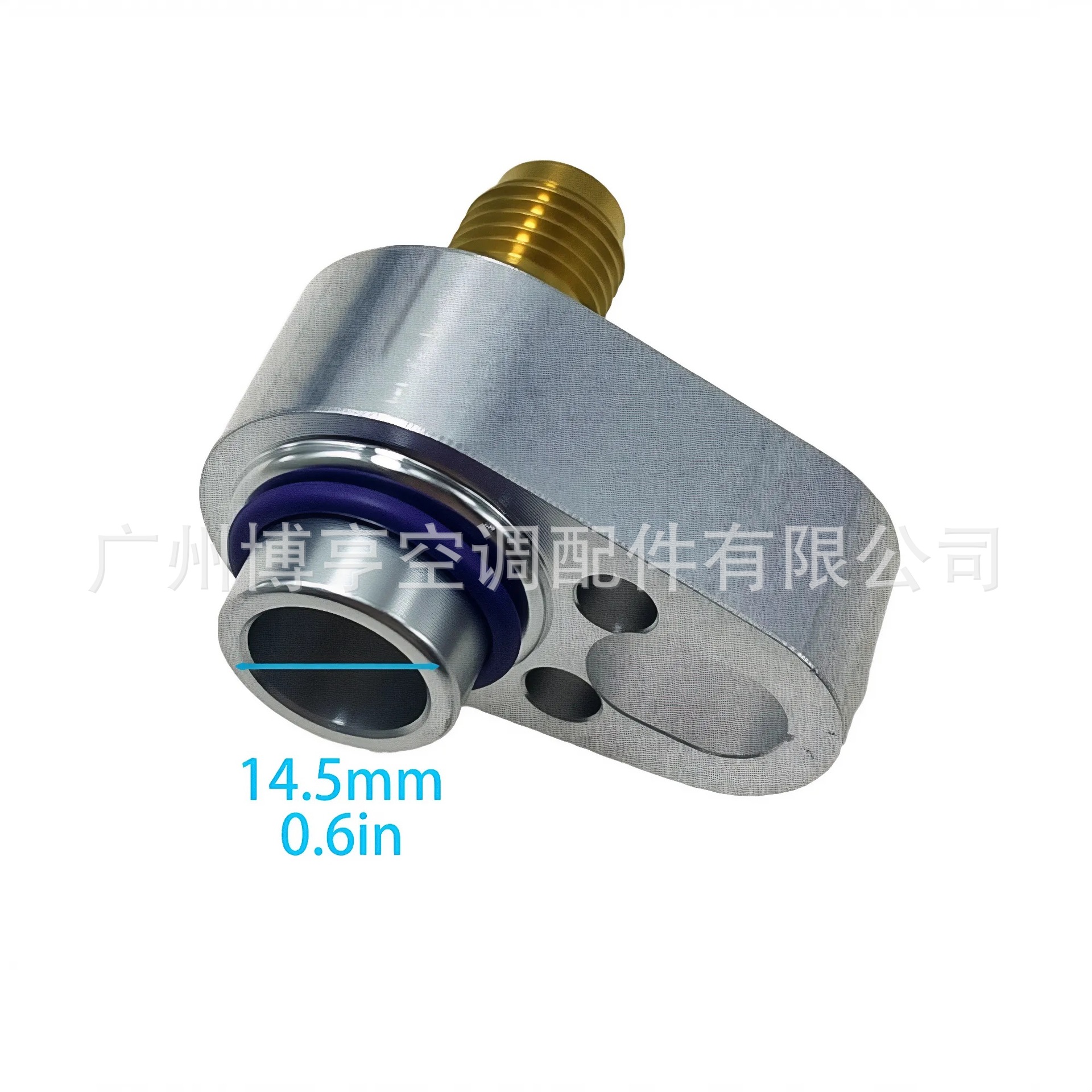5分普通.jpg