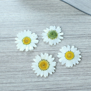 �滨�r�վ����������ɻ����z����diy���h�Ʒ����朒쉋���