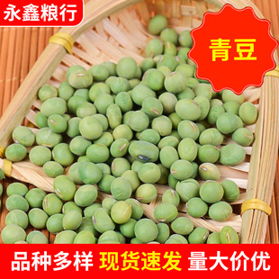 ���l�r���xM���ඹ 50����b�ඹ�w�����ඹ ����s�Z�G���ඹ