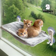 P 32146 Cats Bulk Order Discount Perfect for