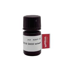 Hoechst 33342 染色液 实验试剂 可开票 10mL [PH0528 PHYGENE]