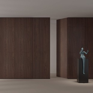 Ī��ɽ�������Ҍ�ľ���Ӱ���ȟo���҃�ƽ�_�[���T����ľ���N2