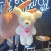 Peach puppy