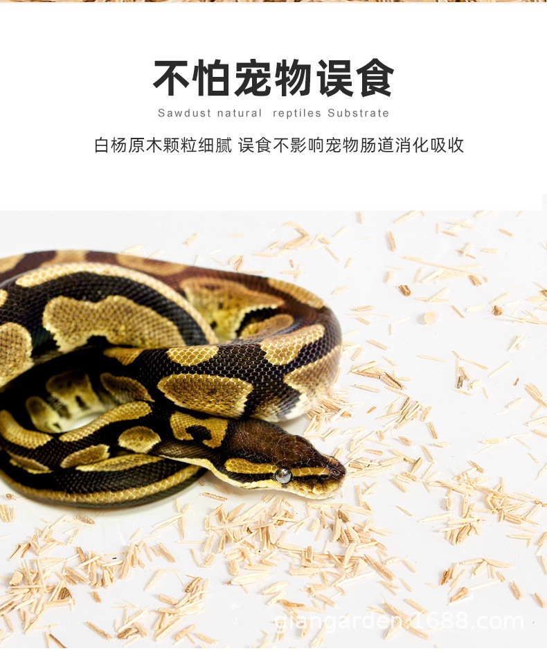 O1CN017BGhaP1BsV44myLaG_!!1-0-