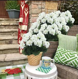 �羳���R�d������N�L���溣�Ļ��ٻ��Ҿӿ͏d���ÿ��z���F؛���l