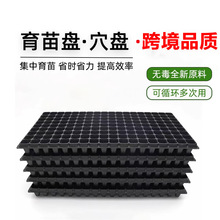 �羳ֱ�l�|�ρ��W������PѨ�P���������籭�߲��������P�����бP