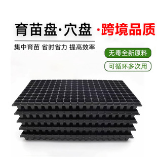 �羳ֱ�l�|�ρ��W������PѨ�P���������籭�߲��������P�����бP