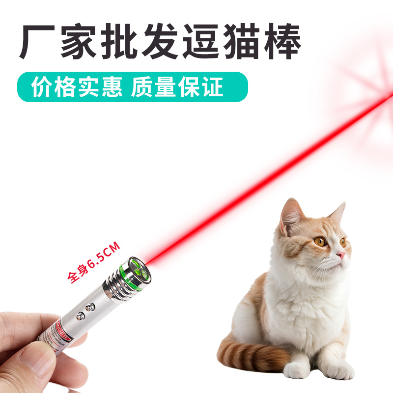 Laser Pointer Infrared Ultraviolet Flashlight Toy Multi-function Money Checking LED Mini Keychain Cat Toy