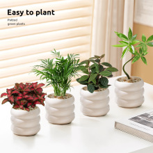 �lؔ�������҃�ֲ����ؔ�͏d�_�h���辰�k��������Gֲ�ļ����B��