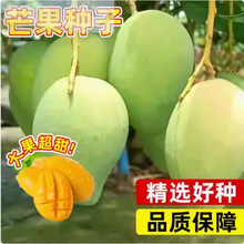 â���N�ӿ�����â���N�ѽ��â�t�F��ͥԺ�̨�����߲�ˮ���N��