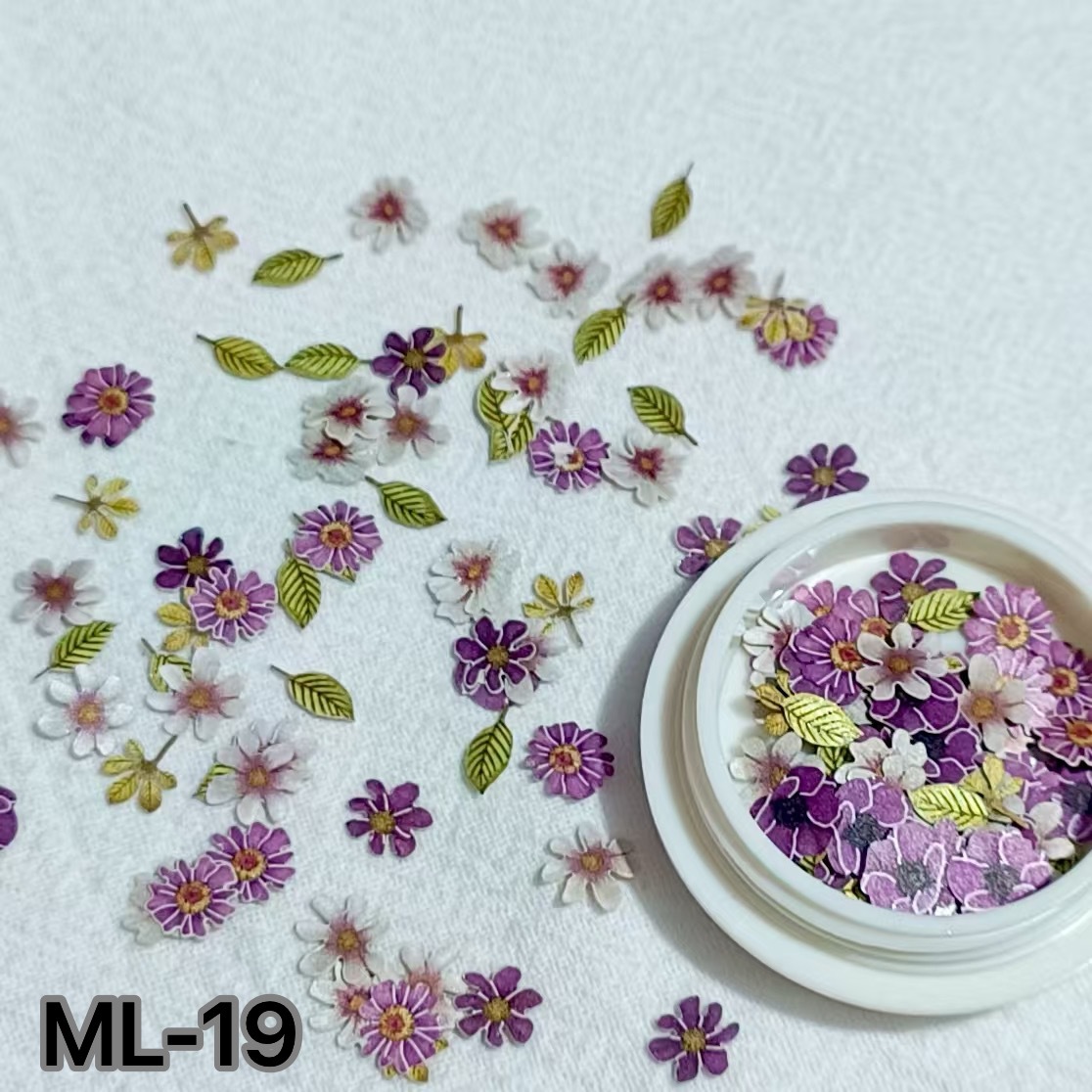 ML-19