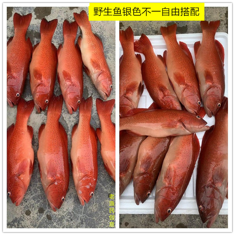 initpintu_副本_副本