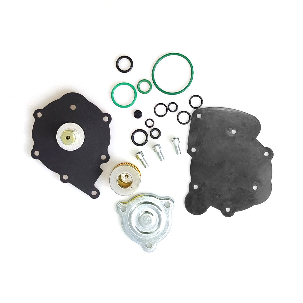 Lpg/Cng Car Oil to Gas At09 Nordic Repair Kit Modified Maintenance Spare Gas Car Accessories