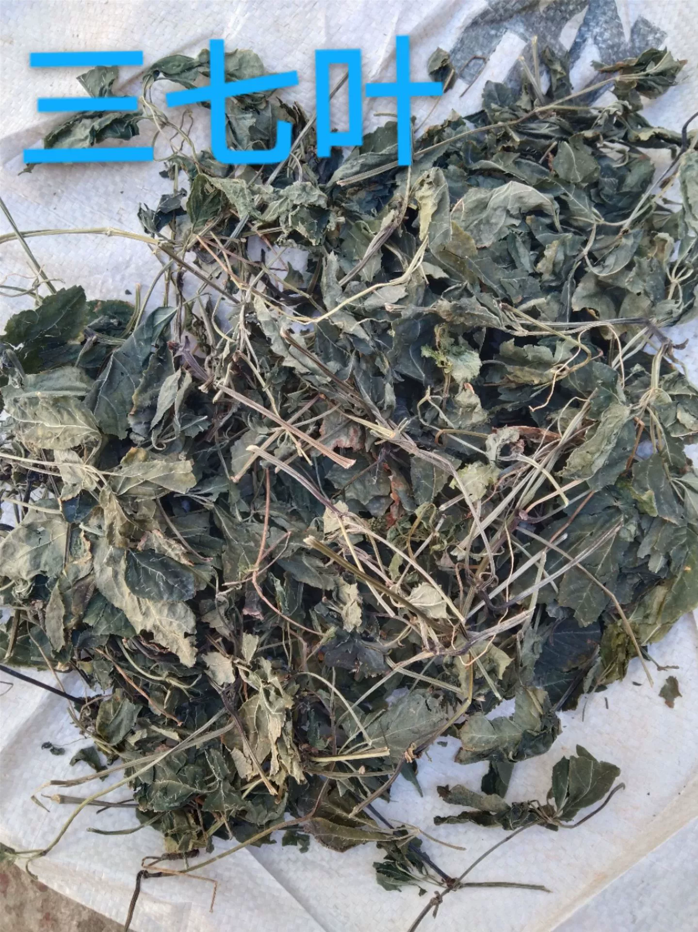 Wenshan Panax notoginseng листья чистый лист Лист Тяньци Лист Panax notoginseng лист чай пищевое сырье можно настроить с органическими листьями Panax notoginseng