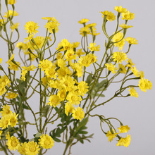 ��@С�r�շ��滨 �bƵ����컨�ջ����ߔzӰ�[�� ������^�r��