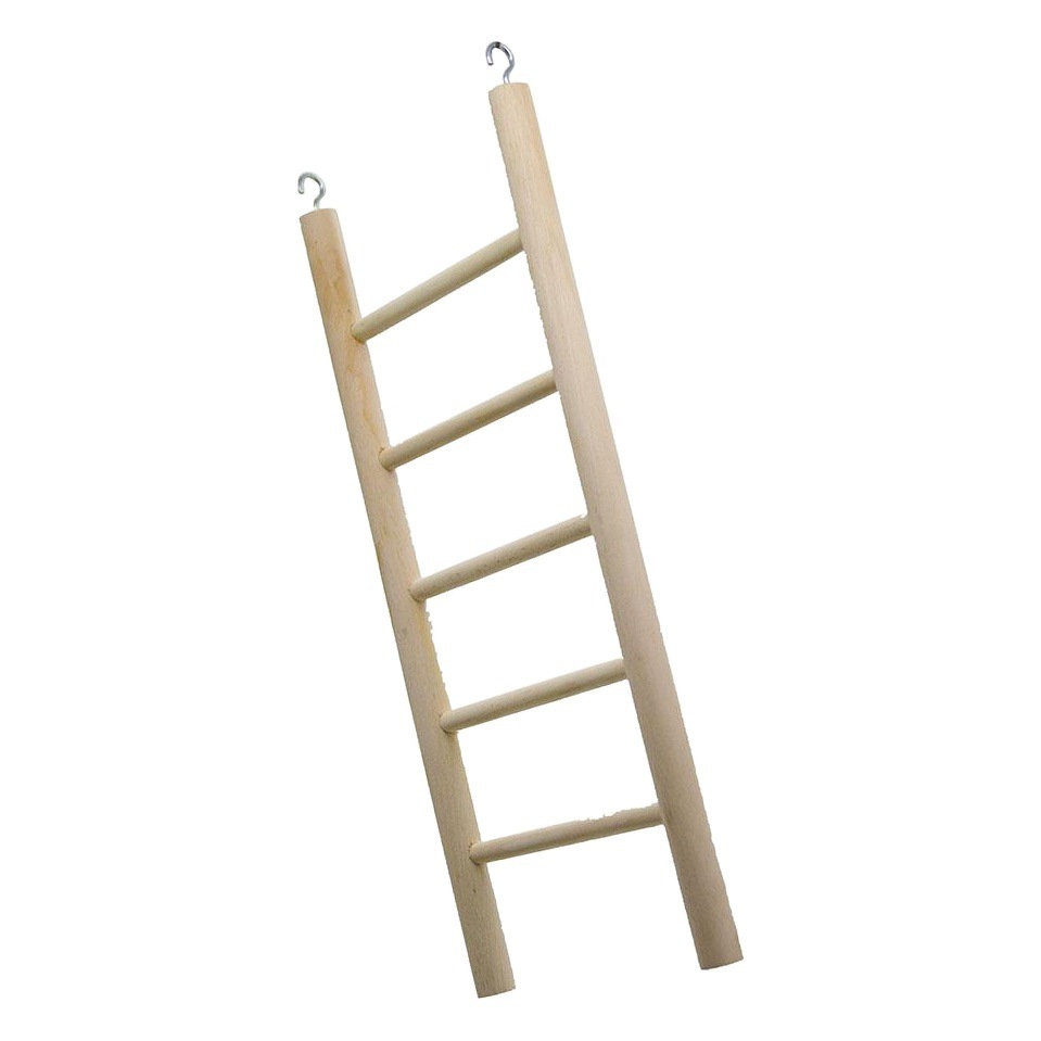 Loro juguete hámster miel bolsa ardilla juguete gran escalera de madera gran escalera