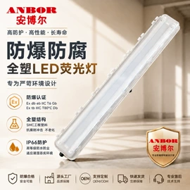 其他专用灯具;防爆灯;其他照明工业
