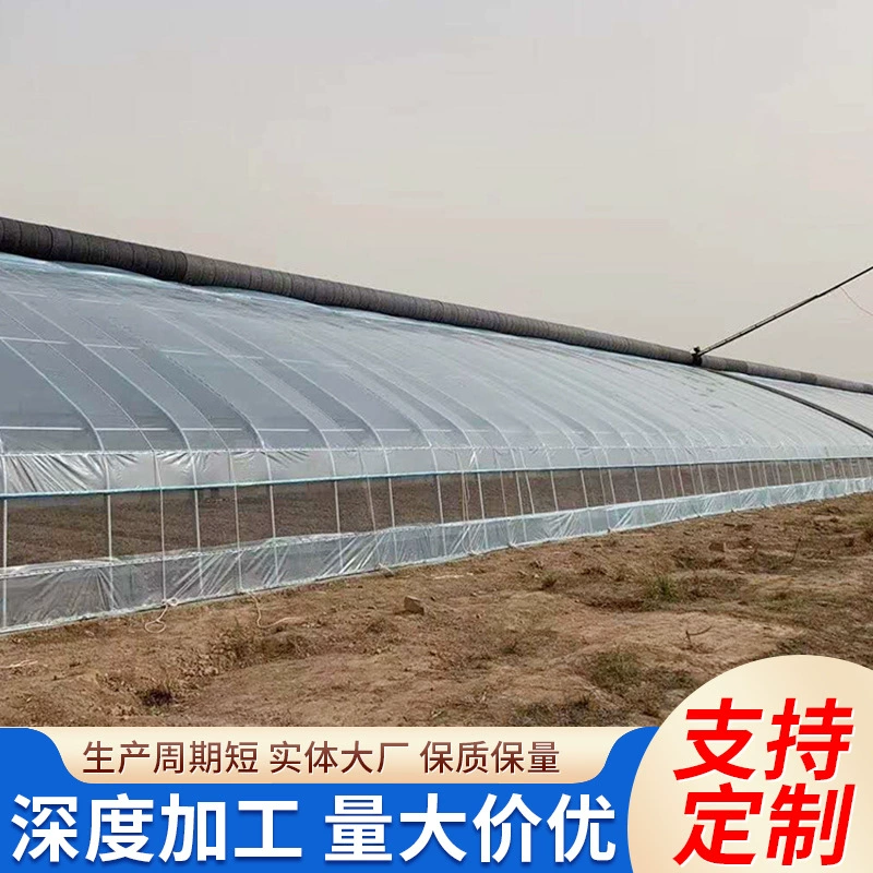 Строительство многопролетных пленочных теплиц, оптовая продажа солнцезащитных многопролетных теплиц с остеклением для сельского хозяйства, изоляция