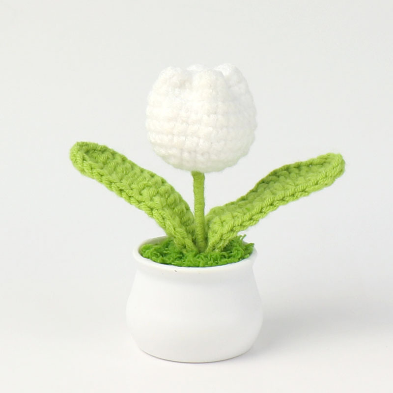 Producto acabado - Tulipan blanco de una cabeza pequeña planta en maceta