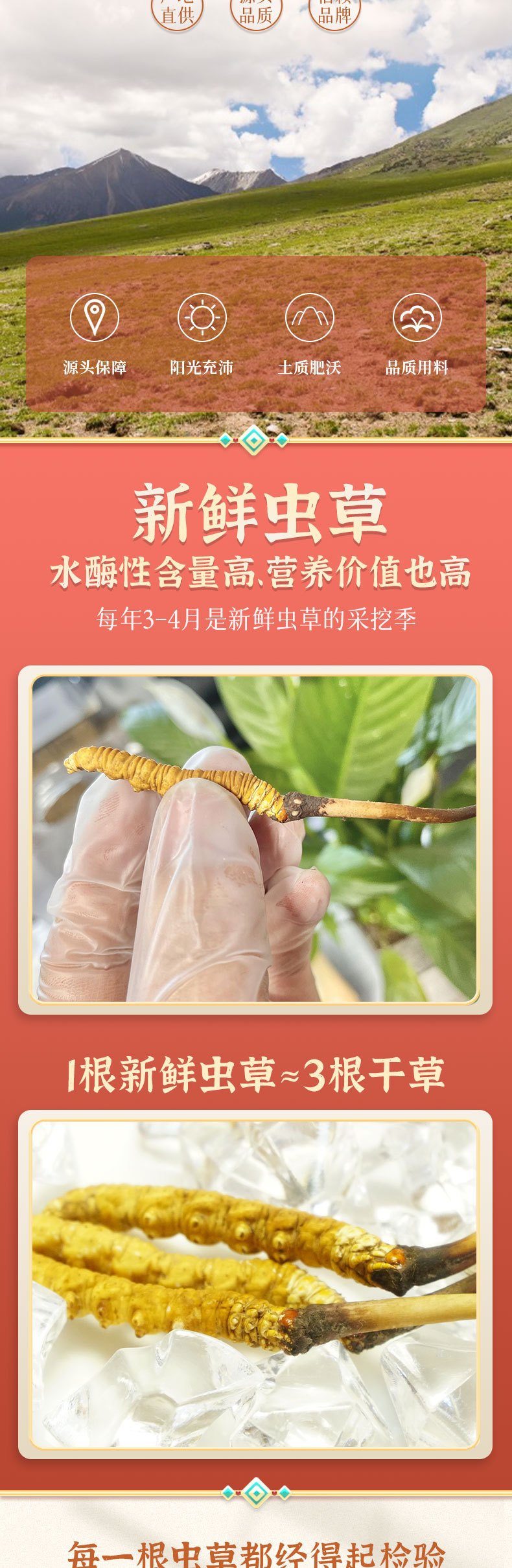 详情_02.jpg