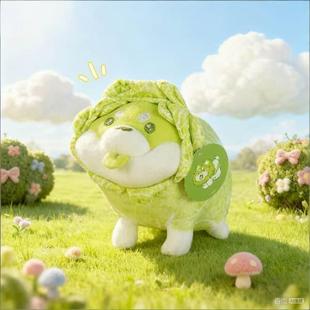�羳�����ڙ�˹�ϵ�зŌW�ײ˹��ײ˹�б�A���ޙC���湫����ż