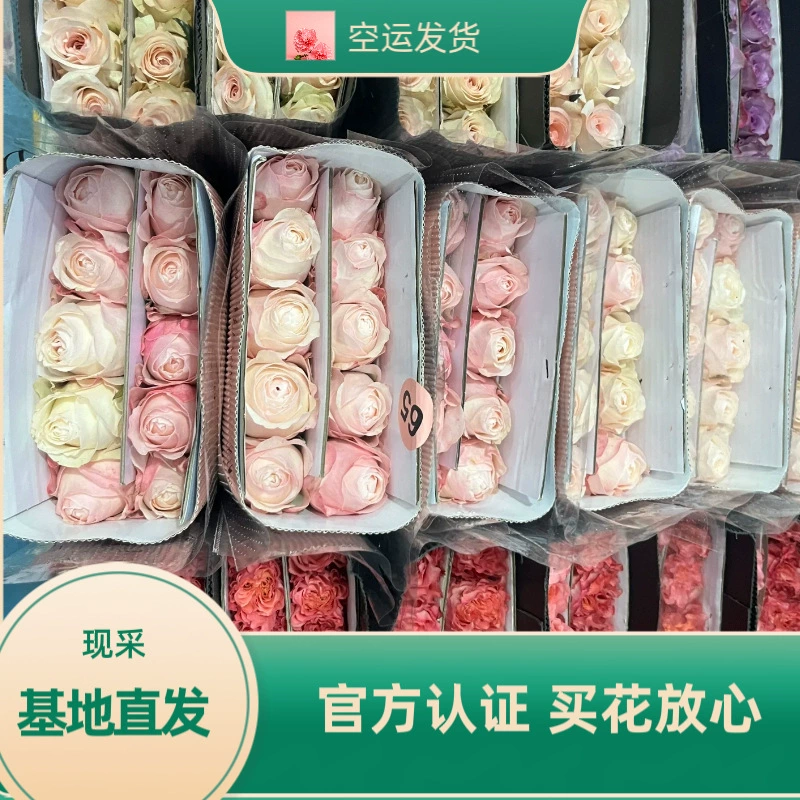 Прямая доставка из базы в Куньмине, свежие цветы, индивидуальная упаковка, свадебный цветочный магазин, цветы для открытия мероприятий, оптовая продажа роз.
