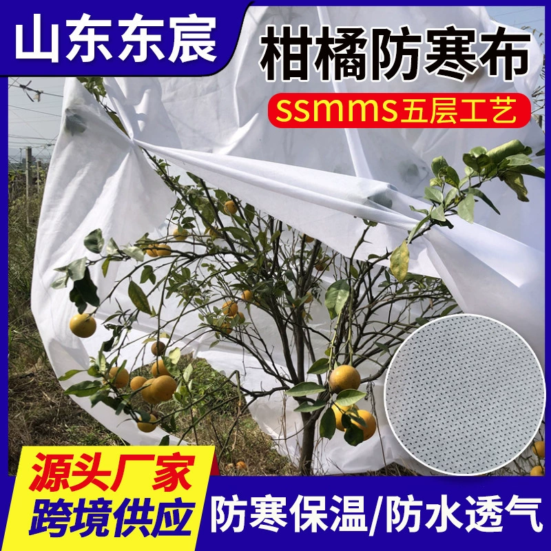 Белая Цитрусовая холодостойкая ткань оптом Ландшафтная холодостойкая ткань Сельскохозяйственный сад Фруктовый сад Антифризная теплоизоляция Нетканый материал