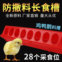 �F�ü����r�u�Lʳ�ϲ�28λʳ������ι�uʳ��ιˮ�����B�u���Zι��