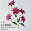 Five-headed double lily-red