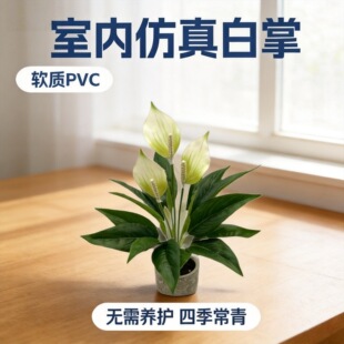 �羳3D����Gֲ���Ʒ���һ���L��쾰�������Ի��ܼپGֲ�Ҿ��҃�