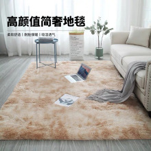 长毛地毯客厅地毯丝毛耐脏易打理防滑垫家用大面积地毯脚踏垫批发