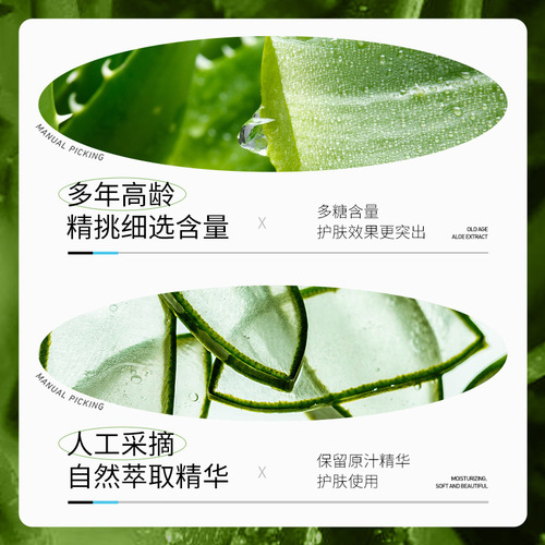 Boquanya Aloe Vera Essence Cream Hydrating, Moisturizing, Rejuvenating, Hydrating Skin Care Aloe Vera Face Cream, Moisturizing Cream Wholesale