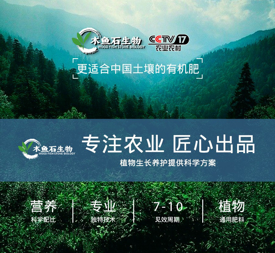 O1CN01f4IdgZ1fXpmHV5gaU_!!2207