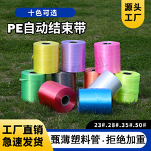 源头工厂新款批发全新原材料半自动打包pe结束带无接头扎带十色