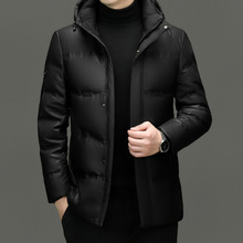 �ﶬ���¿��Z�qƤ�����̄����e��ñ���׼Ӻ�Ƥ��q������