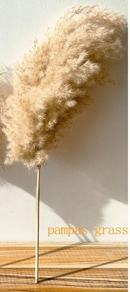 클라우드 빅 리드 1