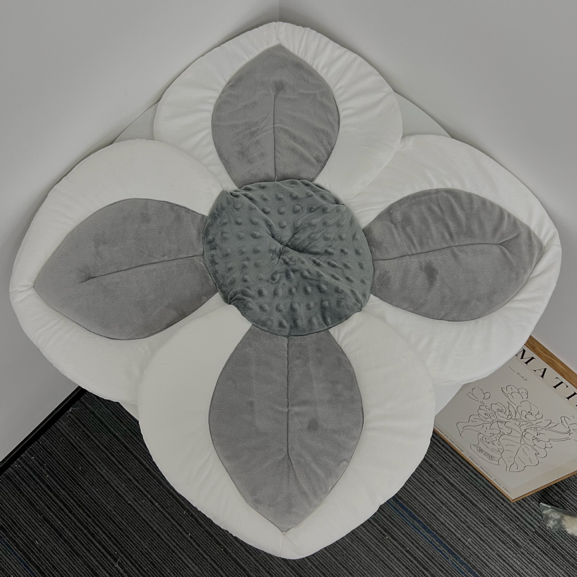 흰색 가장자리 회색 잎 (실제 샷 하이 퀄리티)