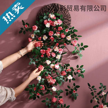 �Nޱ���ڒ��bGֲ�̨�������ڳ��������w