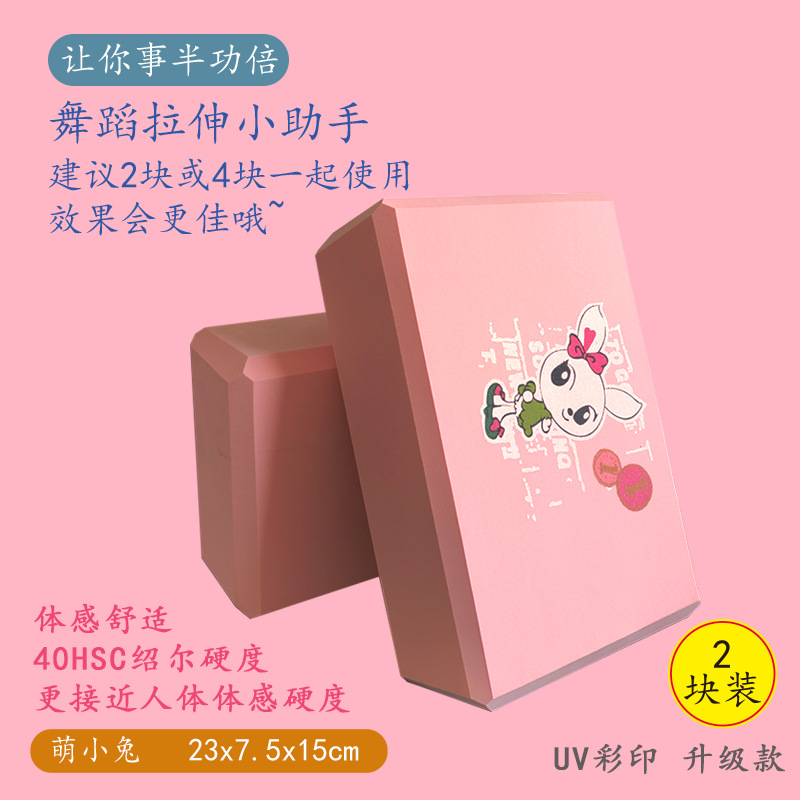 【-【-잉글리시 버니(업그레이드 모델 2팩)-】-】