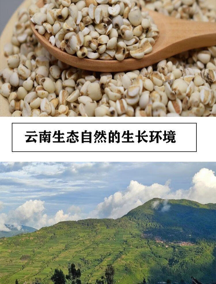 Coix Seed Broken Rice Yi Yi Ren 2500g Family Value Pack for Soy Milk and Congee Cooking quality and texture