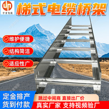 梯式电缆桥架 现货出售组合式梯式桥架 维护便捷梯级式电缆桥架