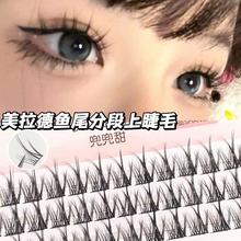 �������������~β������Ȼ�����۽�ëӲ����ճ�޽�����ë�ﶬ�¿�